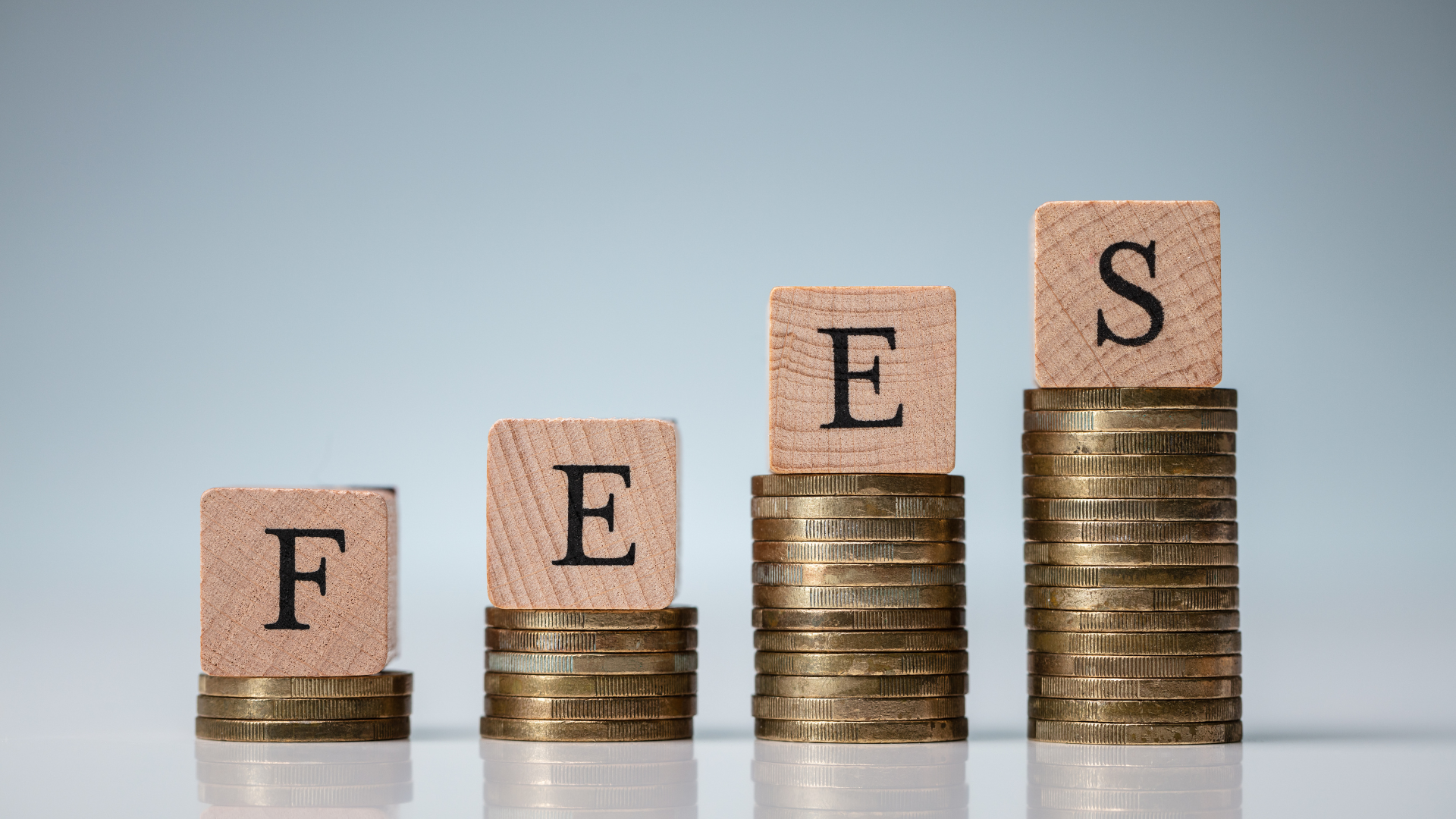 Why DMSF Is the Top Choice for Indian Students in 2026 – Fees, Safety, Success